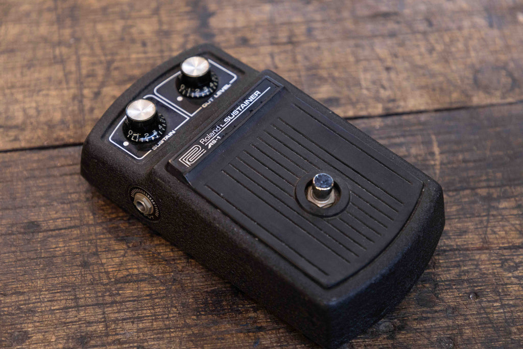Roland AS-1 Sustainer – Clingan Guitars