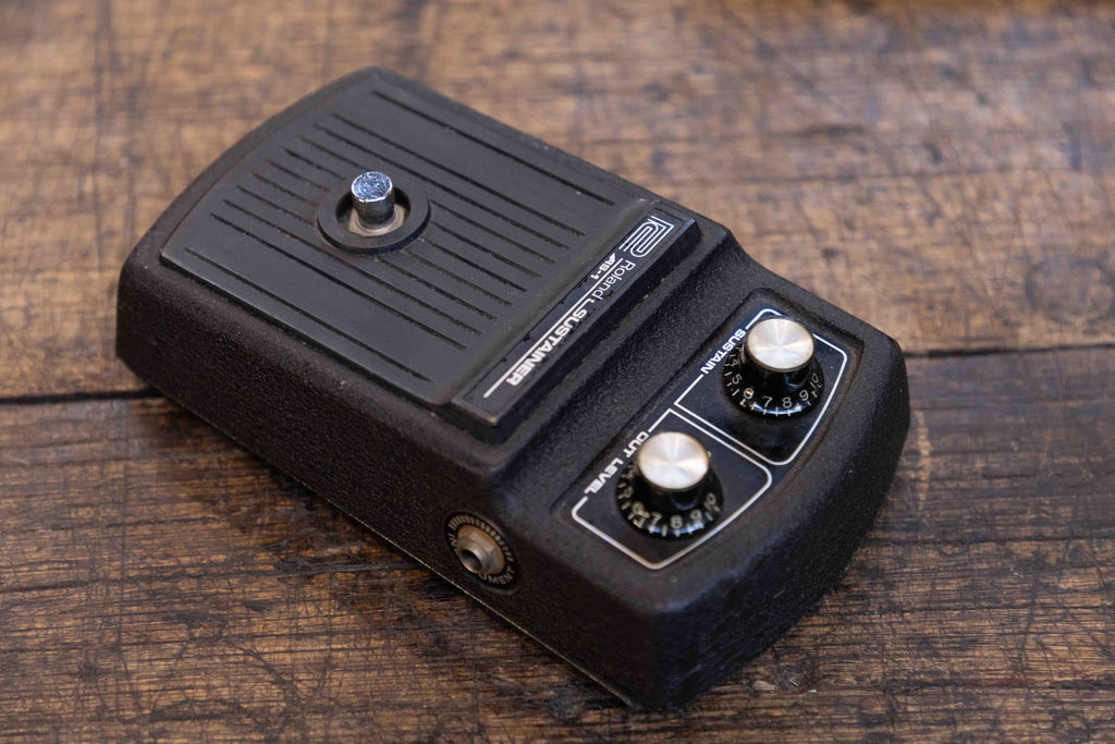 Roland AS-1 Sustainer – Clingan Guitars