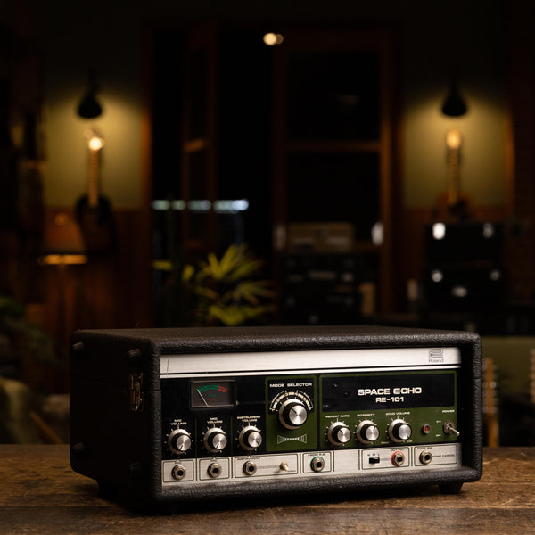 Roland RE-101 Space Echo – Clingan Guitars