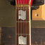 Fender Terry-1 Anniversary 1993 - Hand signed by Takeshi Terauchi