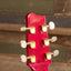 Fender Terry-1 Anniversary 1993 - Hand signed by Takeshi Terauchi