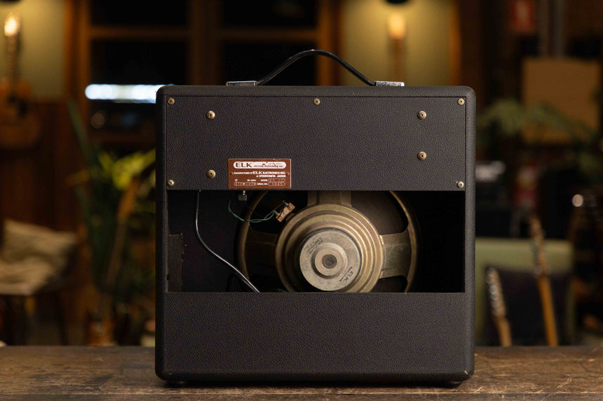 Elk FS-22 Silverface Princeton Style Guitar Amp w/ 22 watts, 12” Speaker