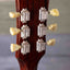 Rider by Headway RJ (J-45 style) acoustic