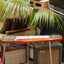 Guyatone HG-108C 8-String Lap Steel Gold Foil Pickups 1960 - Aged Candy Orange