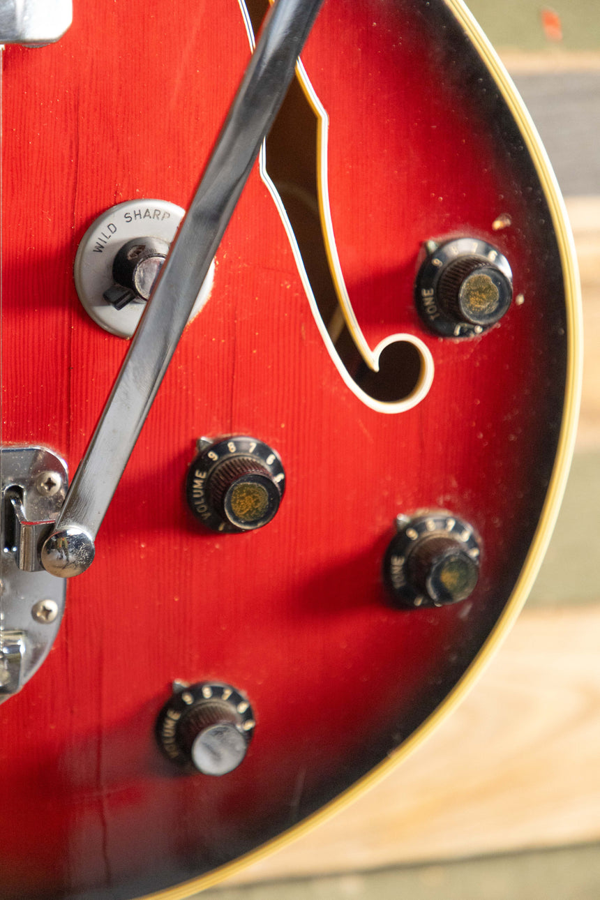 Eston DS-2T Hollowbody