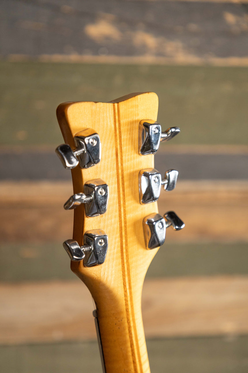 Eston DS-2T Hollowbody