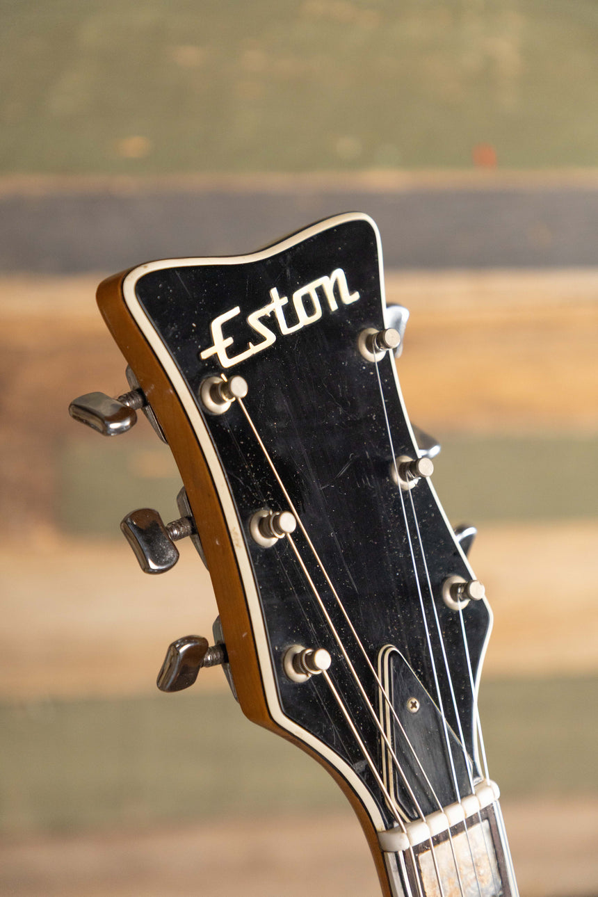 Eston DS-2T Hollowbody