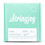 Stringjoy Flyers - 10-48 BALANCED MEDIUM Gauge Flyers (Flatwound)