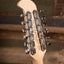 Squier Paranormal Jazzmaster XII Mint Pickguard (Lake Placid Blue)