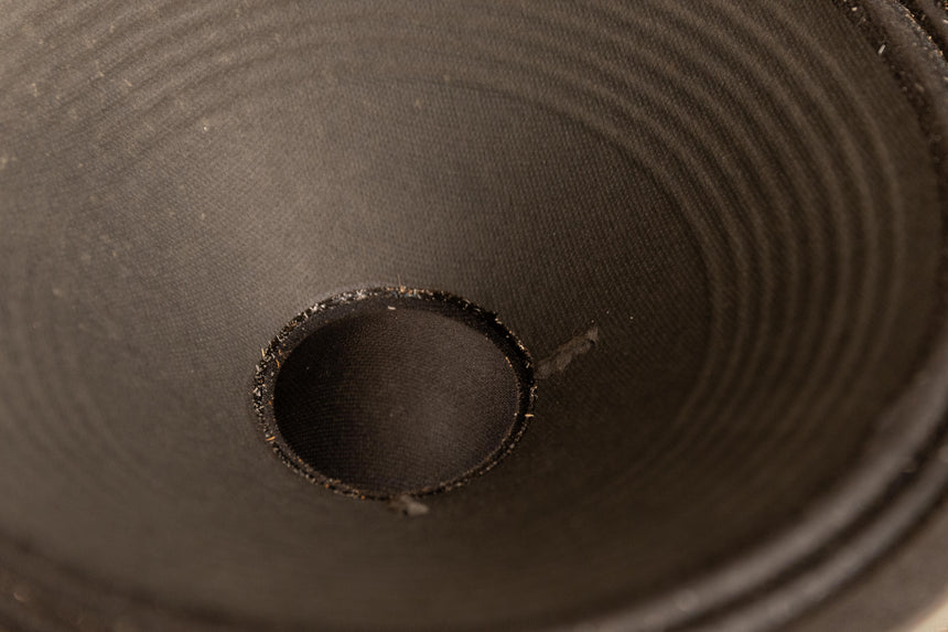 Celestion / Vox Neo Dog Speaker - 16 ohm 12-inch (60 Watts)