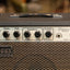 1970s Prince Amplifiers PS-100 'Piggy' 15w Solid-State Combo