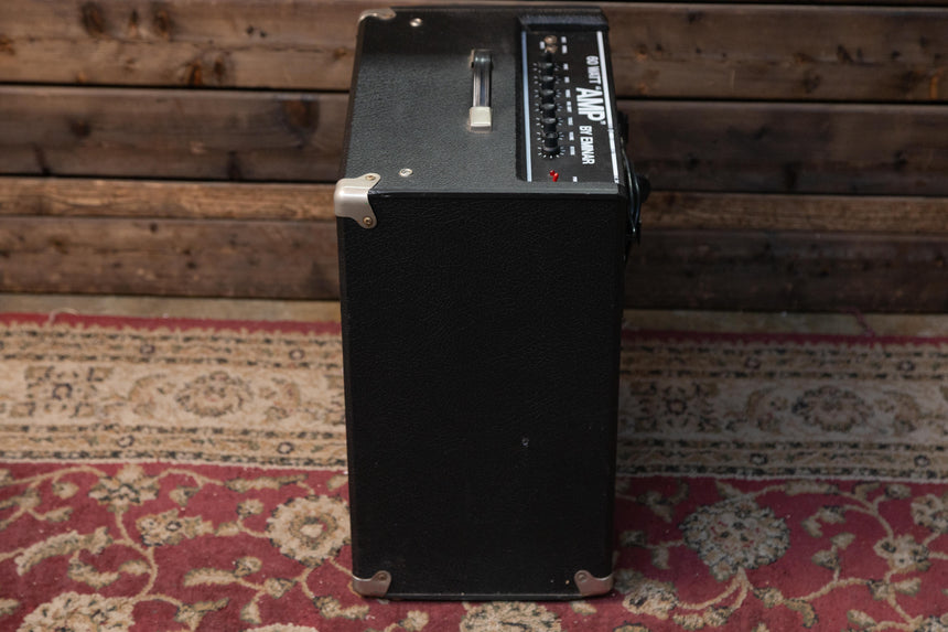 Eminar 60 Watt 'Amp'