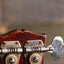 1969 Gibson EB-2D - Cherry
