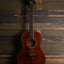 1981 Takamine PTN-006