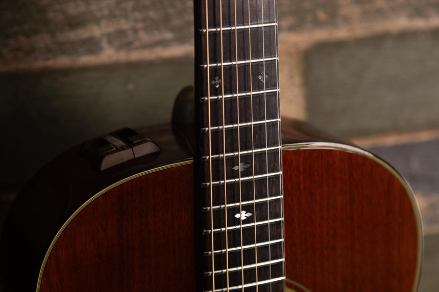 1981 Takamine PTN-006