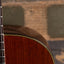 1981 Takamine PTN-006