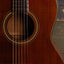 1981 Takamine PTN-006