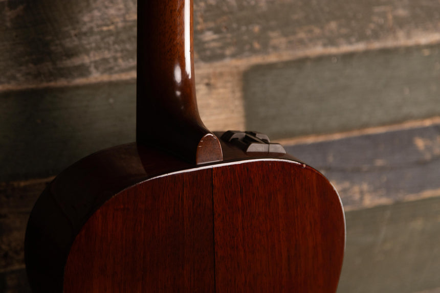 1981 Takamine PTN-006