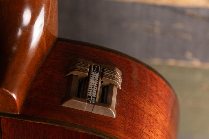 1981 Takamine PTN-006