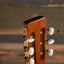 1981 Takamine PTN-006