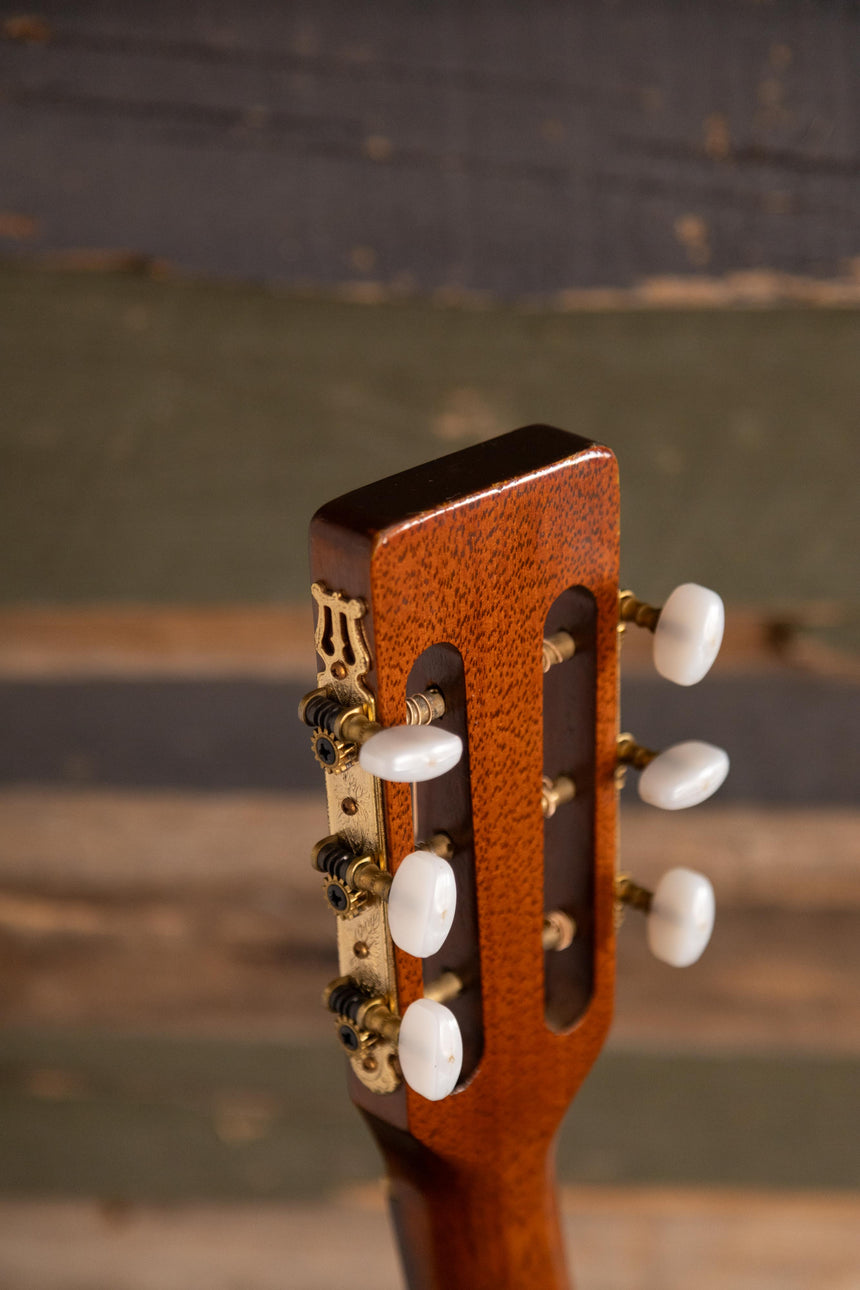1981 Takamine PTN-006