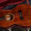 1981 Takamine PTN-006