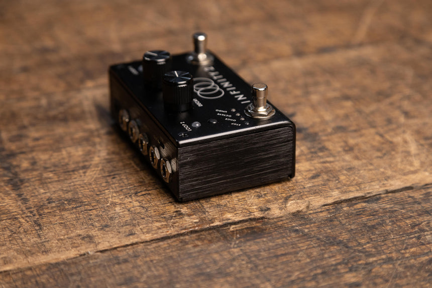 Infinity 2 Dual stereo looper