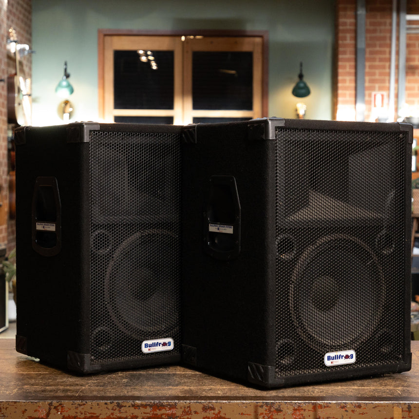 Bullfrog 1x12" PA Speaker with Tweeter (Pair)