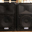 Bullfrog 1x12" PA Speaker with Tweeter (Pair)