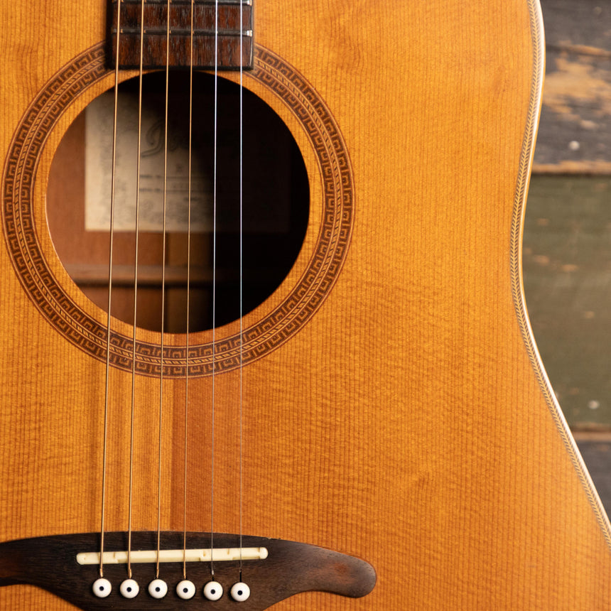 Ibanez R200 Acoustic Guitar
