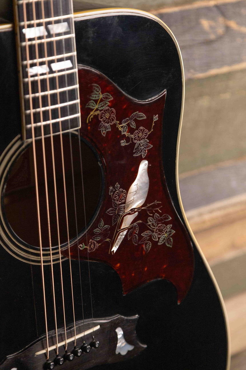 1977 Gibson Dove - Ebony w/ OHSC