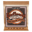 Ernie Ball MEDIUM LIGHT EARTHWOOD PHOSPHOR BRONZE ACOUSTIC GUITAR STRINGS 12-54 GAUGE