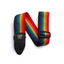 Ernie Ball Polypro Guitar Strap - Rainbow