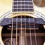 K&K Sound Double Helix Solo Soundhole Acoustic Guitar Pickup